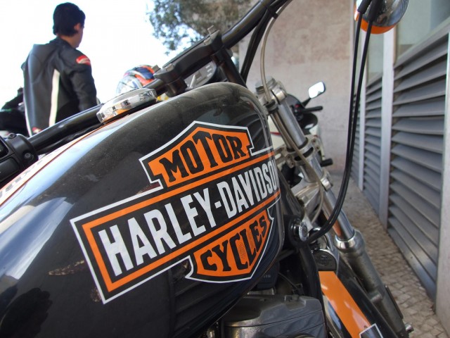 Harley Davidson Tavira