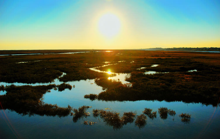 Ria Formosa