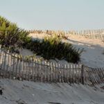 Barril Beach Sand Dunes