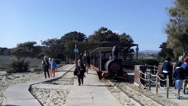 Barril Mini Train