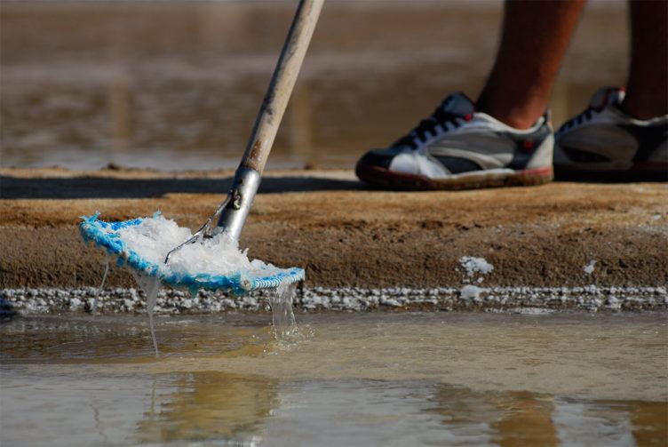 Fleur de Sel Tavira