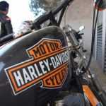 Harley Davidson Tavira